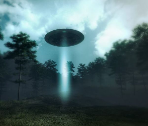 UFO in forest